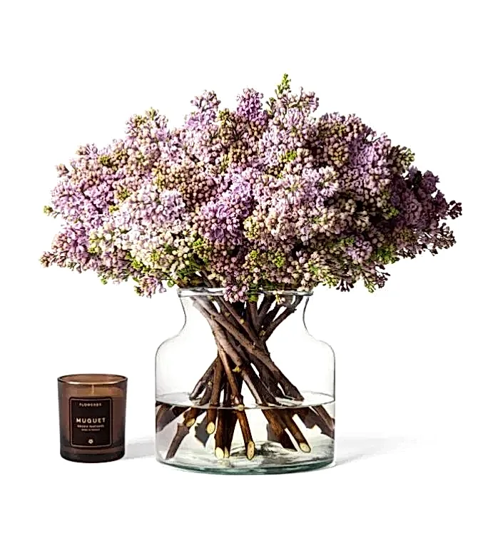 Purple Lilacs