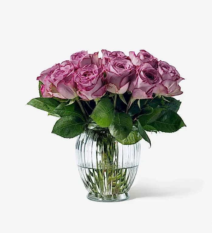 Purple Roses