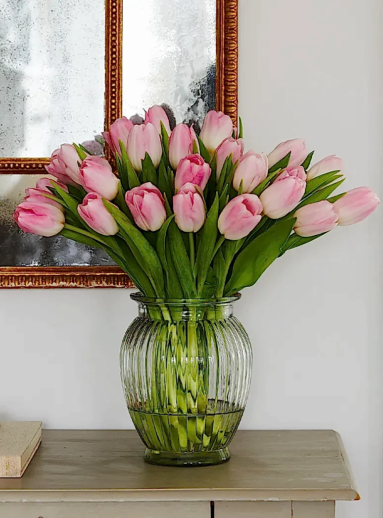 Tulips in a glass vase
