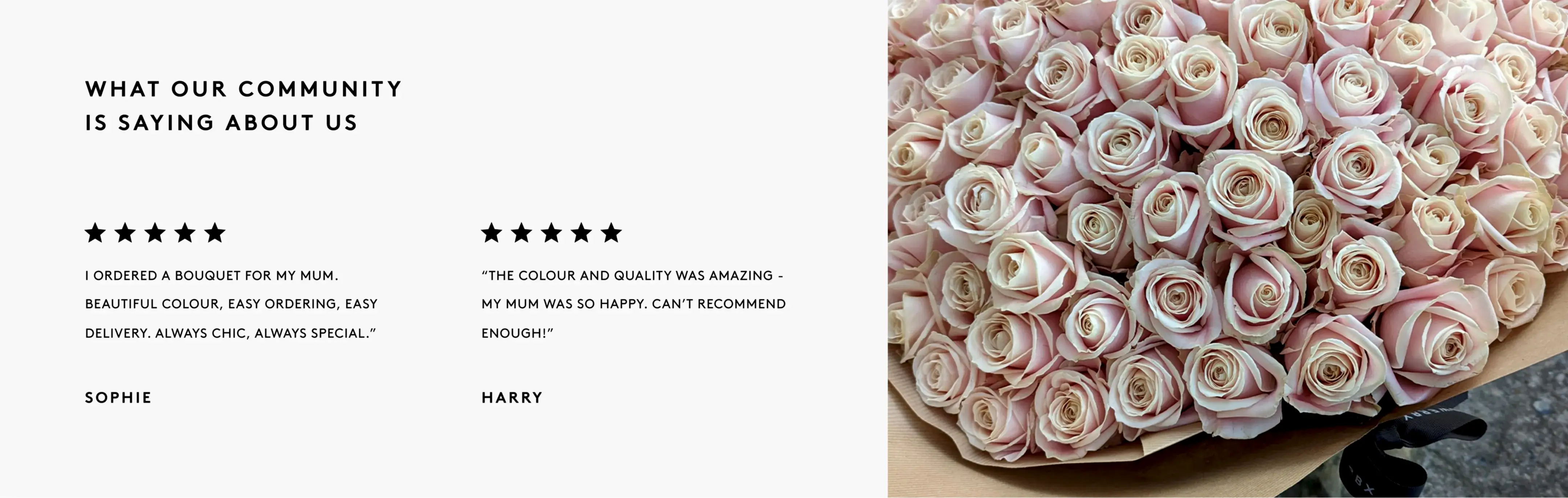 Customer Testimonials